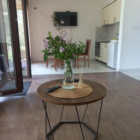 Apartment Drinsko Srce 2